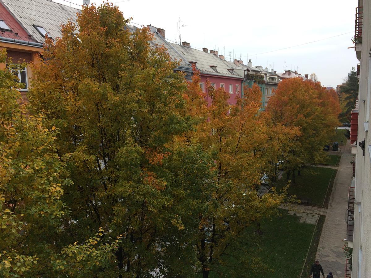 Apartment Sophie Olomouc Buitenkant foto